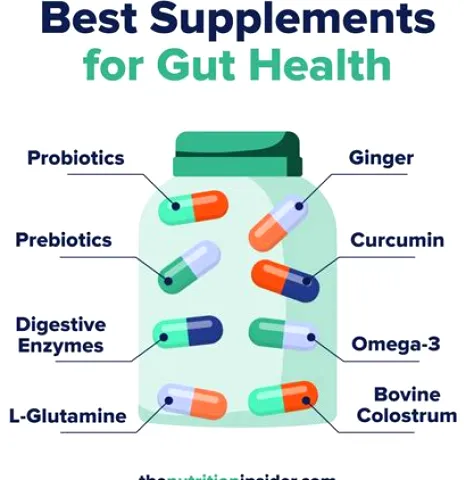 Best Gut Health Supplements: How to Choose the Right One