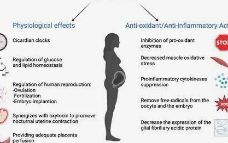 Melatonin During Pregnancy: Safety Evidence and Sleep Options