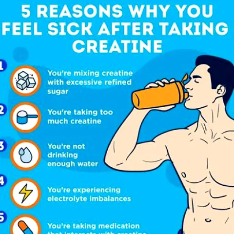 Does Creatine Make You Bloated? What the Evidence Says