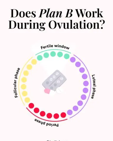 Does Plan B Work During Ovulation?