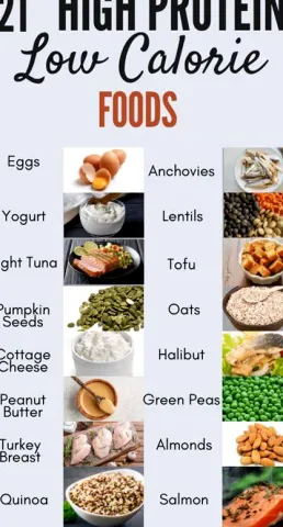 Best High-Protein, Low-Calorie Foods for Everyday Meals