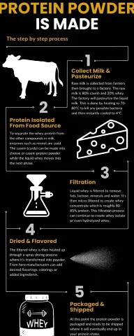 From Milk to Mix: How Protein Powder Is Manufactured