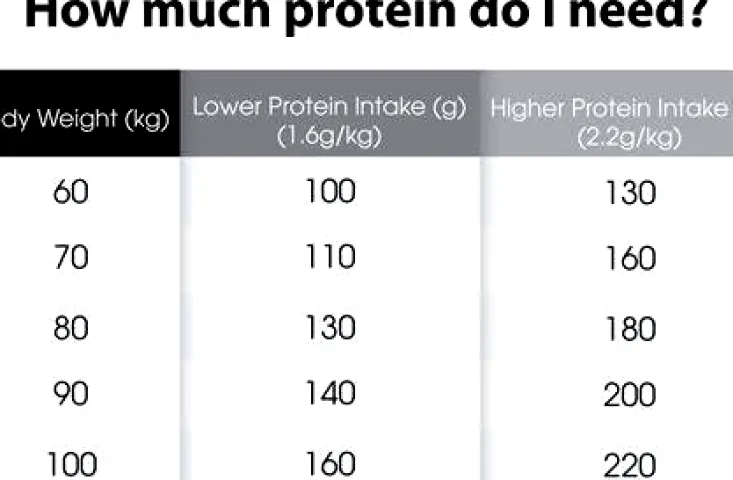How Much Protein Should You Eat to Gain Muscle?