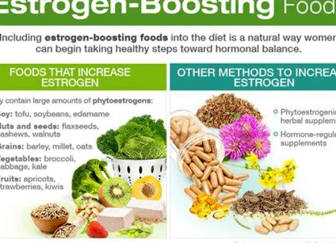 Can You Increase Estrogen Naturally? Evidence, Limits, and Safer Options