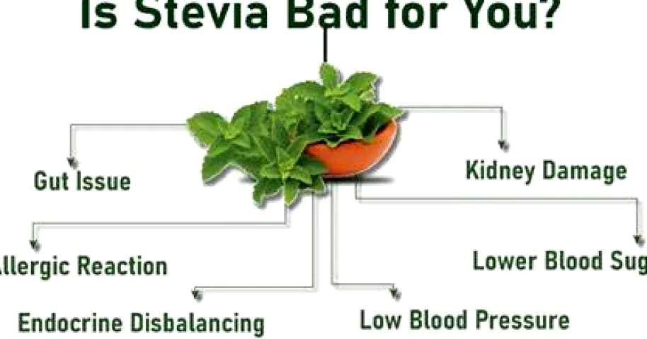 Is Stevia Safe? Benefits, Concerns, and the Truth About the Ban