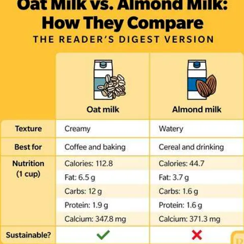 Oat Milk or Almond Milk: Which One Better Fits Your Goals?