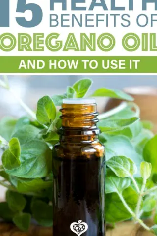 Oil of Oregano: Potential Benefits, Risks, and What the Evidence Shows