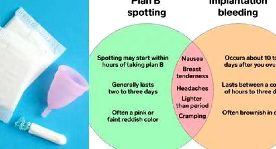 How to Know If Plan B Worked: Signs, Bleeding, and When to Test