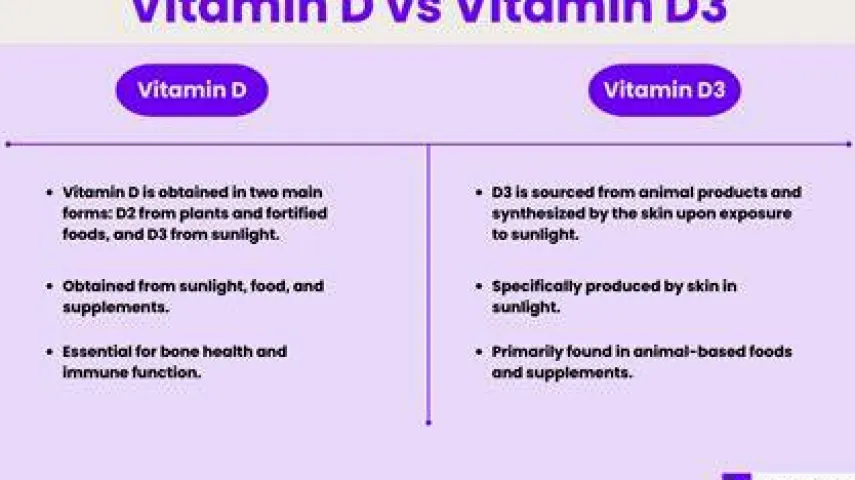 Vitamin D vs. D3: What Is the Difference, and Which Form Should You Choose?