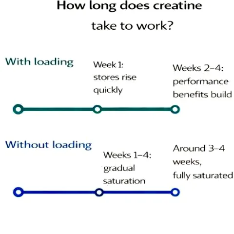 When to Take Creatine: Timing for Workout and Rest Days