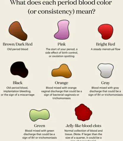 Brown or Black Period Blood: What It Usually Means and When to Get Help
